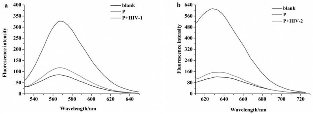 A method for the simultaneous detection of two HIV DNAs by a DNA-directed color-changing silver nanocluster