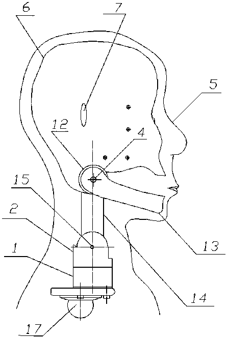 A cervical spine joint assembly for simulating an intelligent robot