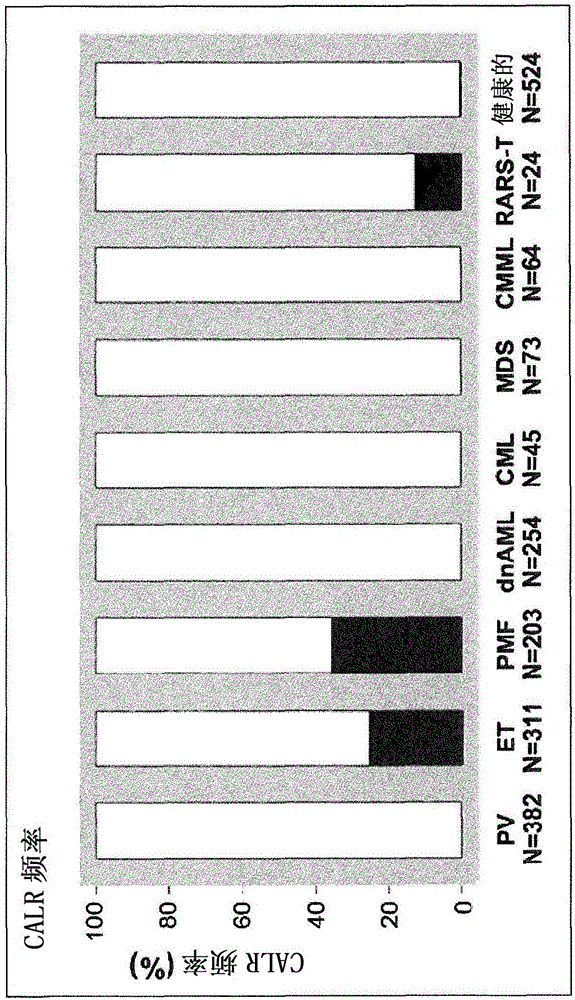 Mutant calreticulin for the diagnosis of myeloid malignancies