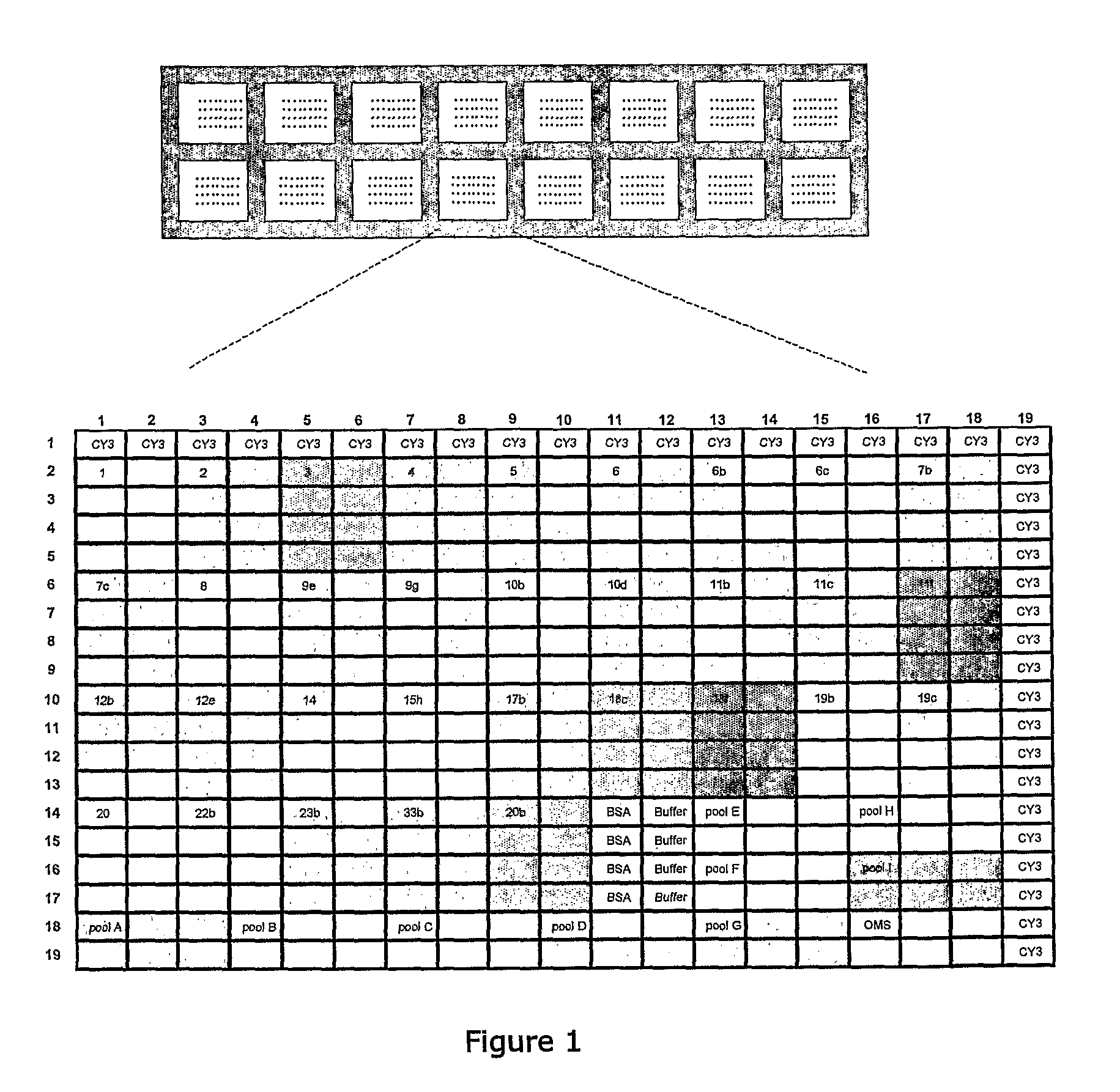 Methods and products for identifying strains of bacteria