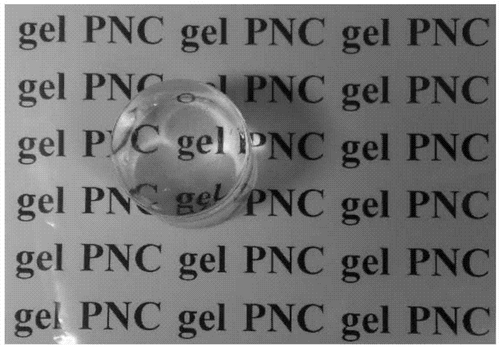 Polymer hydrogel and preparation method thereof