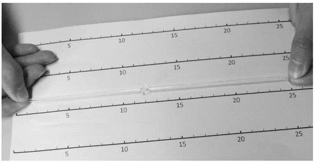 Polymer hydrogel and preparation method thereof