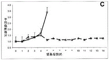 Compositions containing sortase-anchored surface proteins of Streptococcus uberis