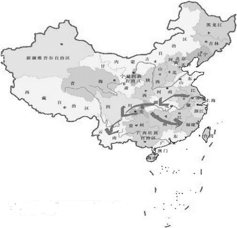 Flood forecasting method based on rainfall flood space-time database