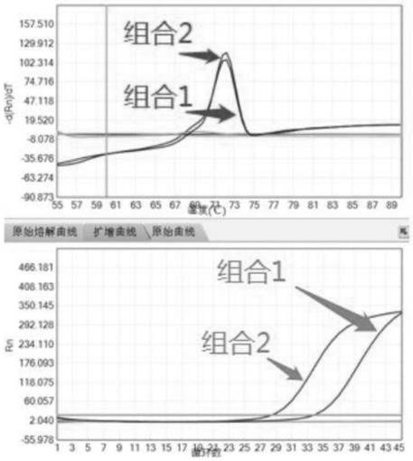 Multiple nucleic acid detection system as well as preparation method and application thereof