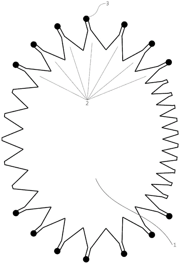 Rotman lens with elliptical-profiled side edge