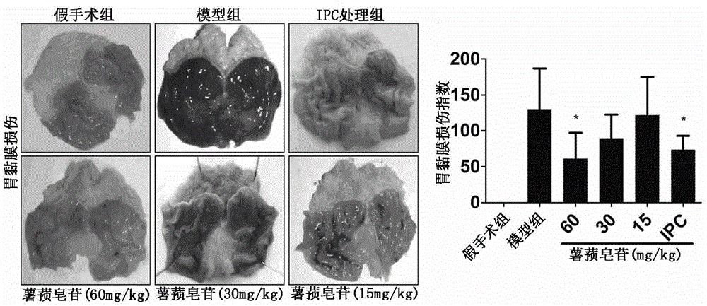 Application of dioscin in preparation of acute gastrointestinal injury protecting medicine