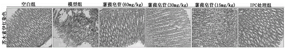 Application of dioscin in preparation of acute gastrointestinal injury protecting medicine