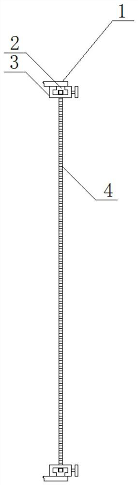 Ecological vertical greening construction method for landscape architecture