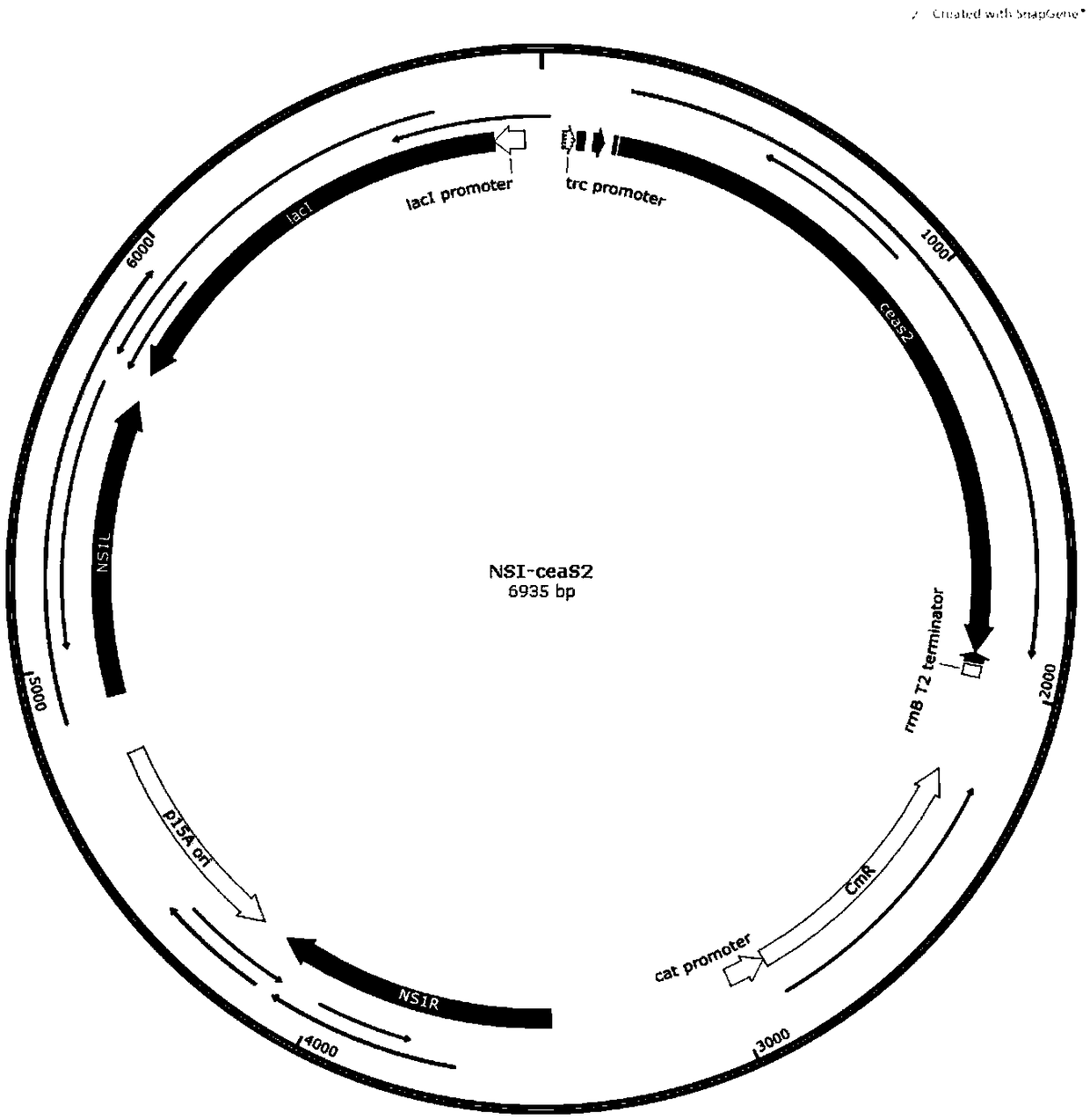 Method for synthesizing acrylic acid from cyanobacteria