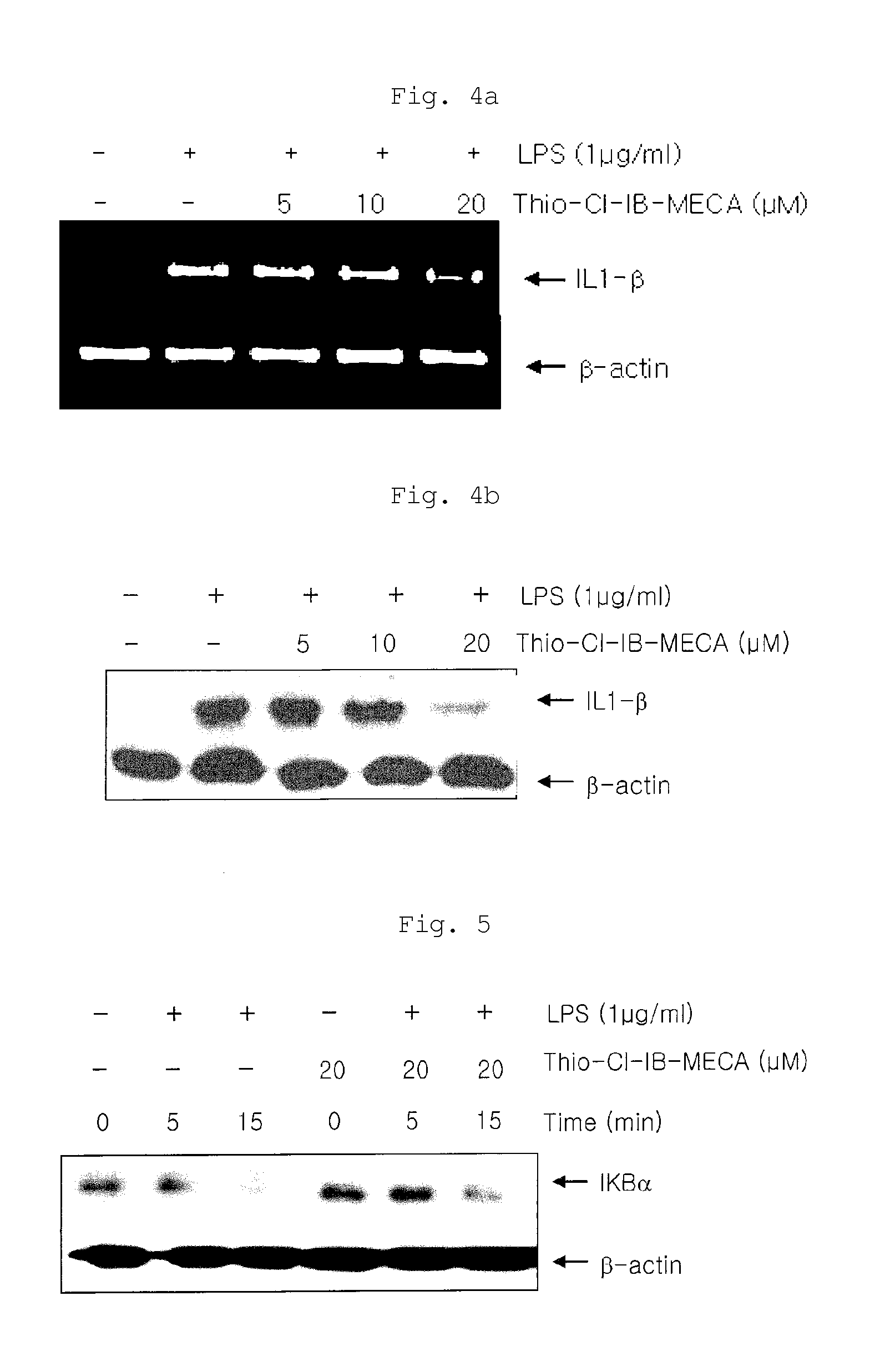 Pharmaceutical composition containing a3 adenosine receptor agonist