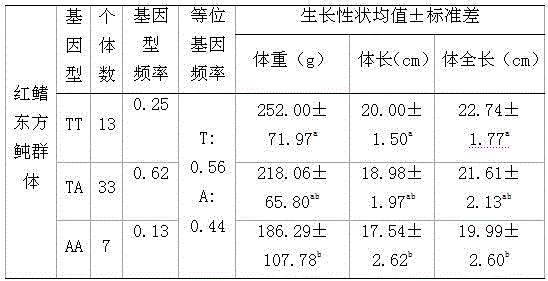 SNP primer for screening fugu rubripes seedlings and screening method