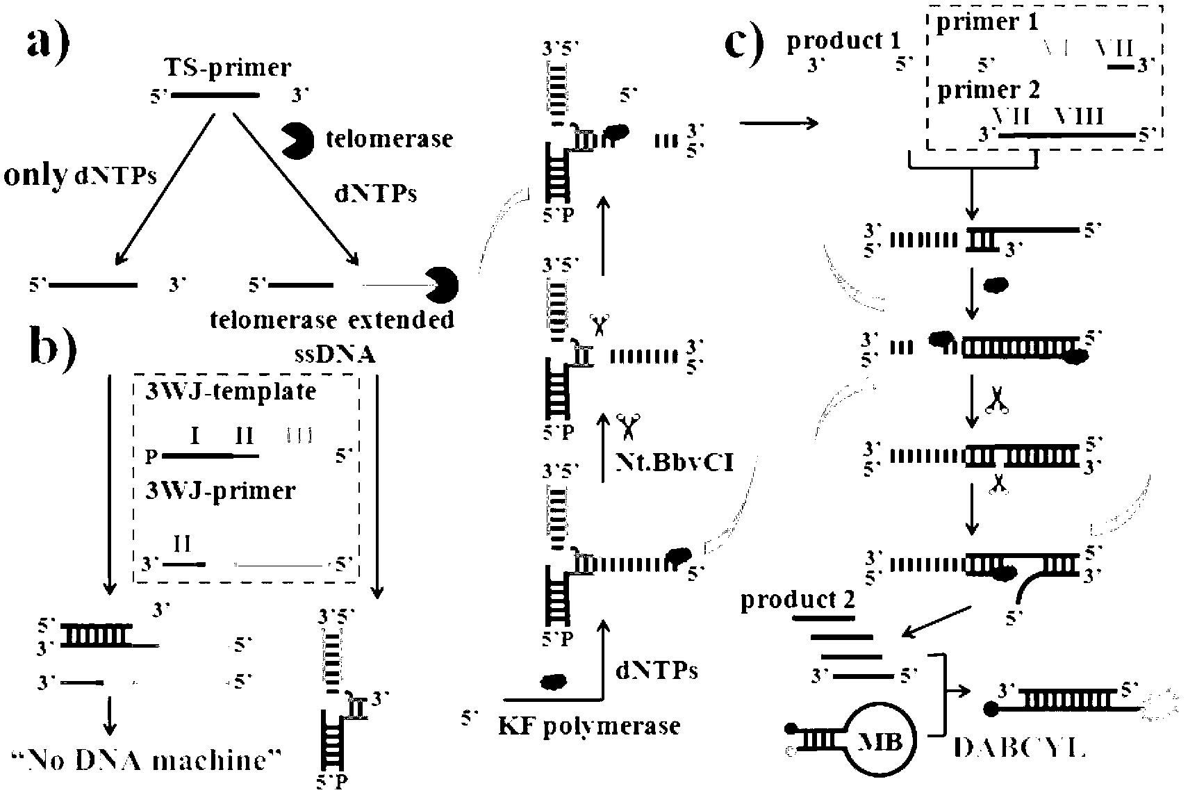 Telomerase activity detection kit and detection method thereof