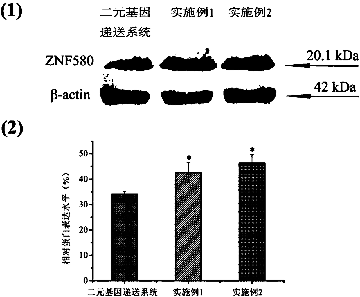 Ternary gene delivery system based on cell-penetrating peptide and applications of ternary gene delivery system