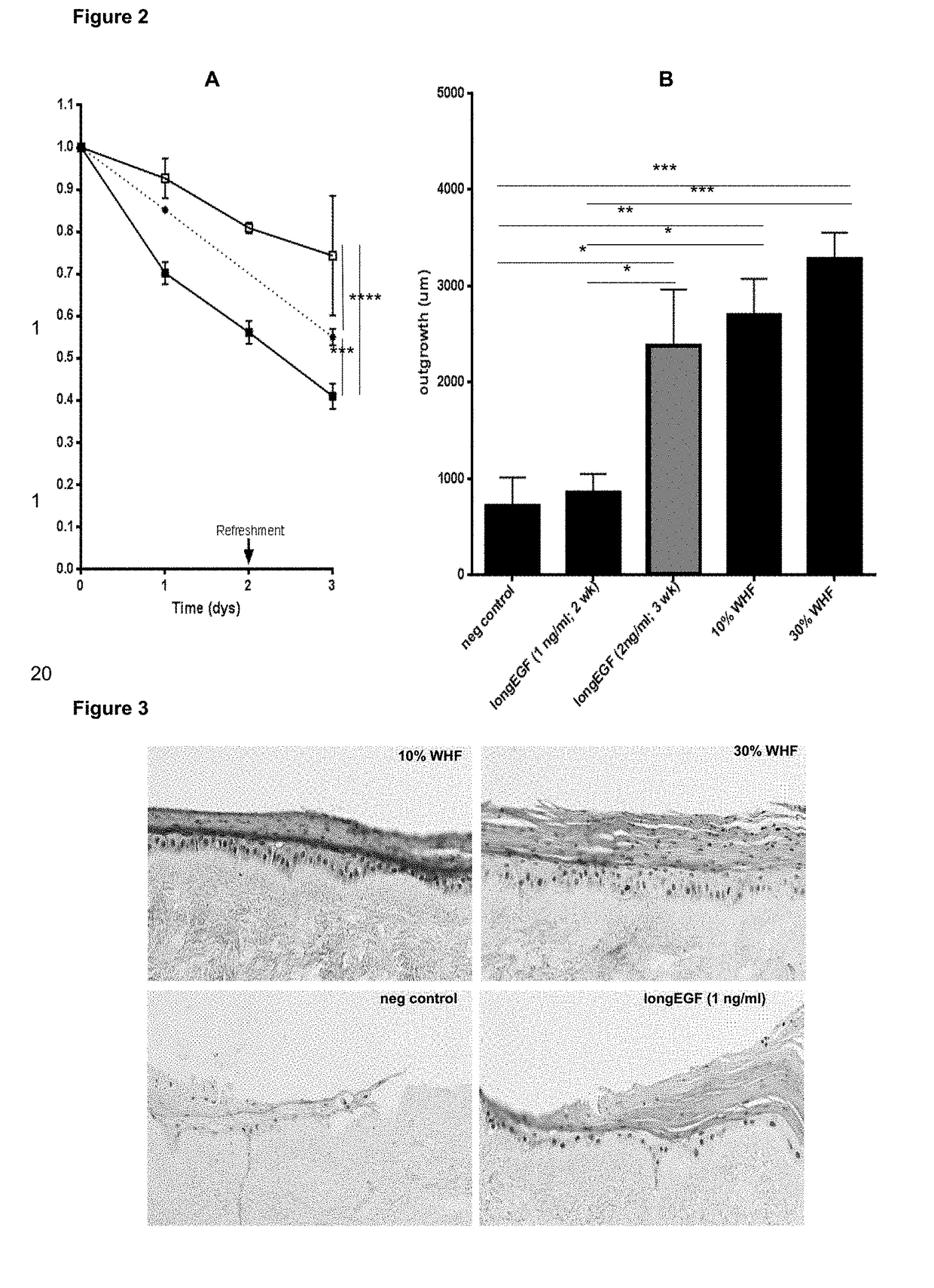 Wound healing formulation