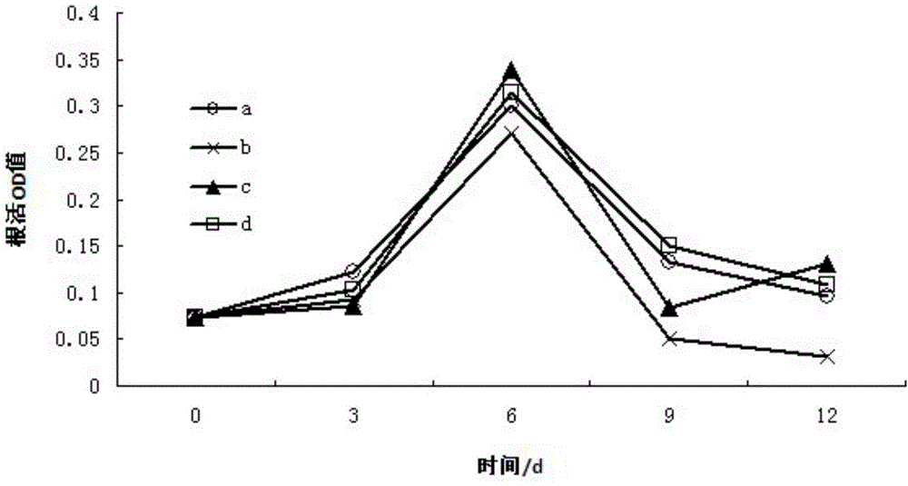 Rhodopseudomonas strain and application thereof in inhibiting Pseudoperonospora cubensis Rostov and promoting cucumber growth