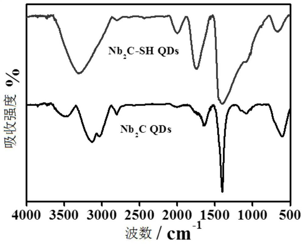 SPR sensor chip and preparation method thereof