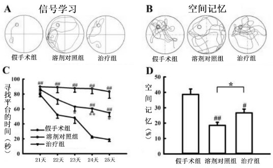 Polypeptide analogue and application thereof in medicines for intervention treatment of cerebral hemorrhage