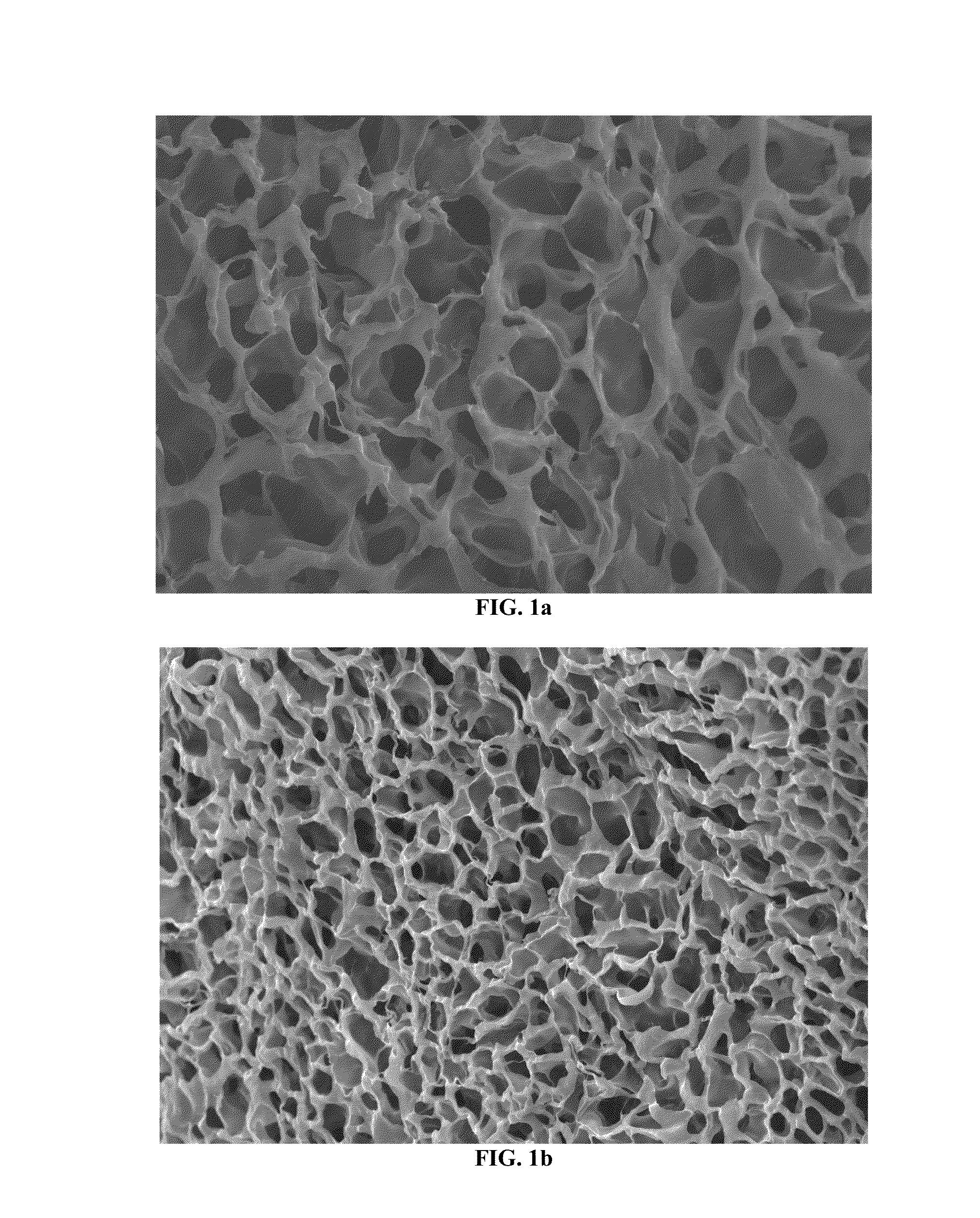 Functional chitosan scaffold with surface charge tunability as filtering medium