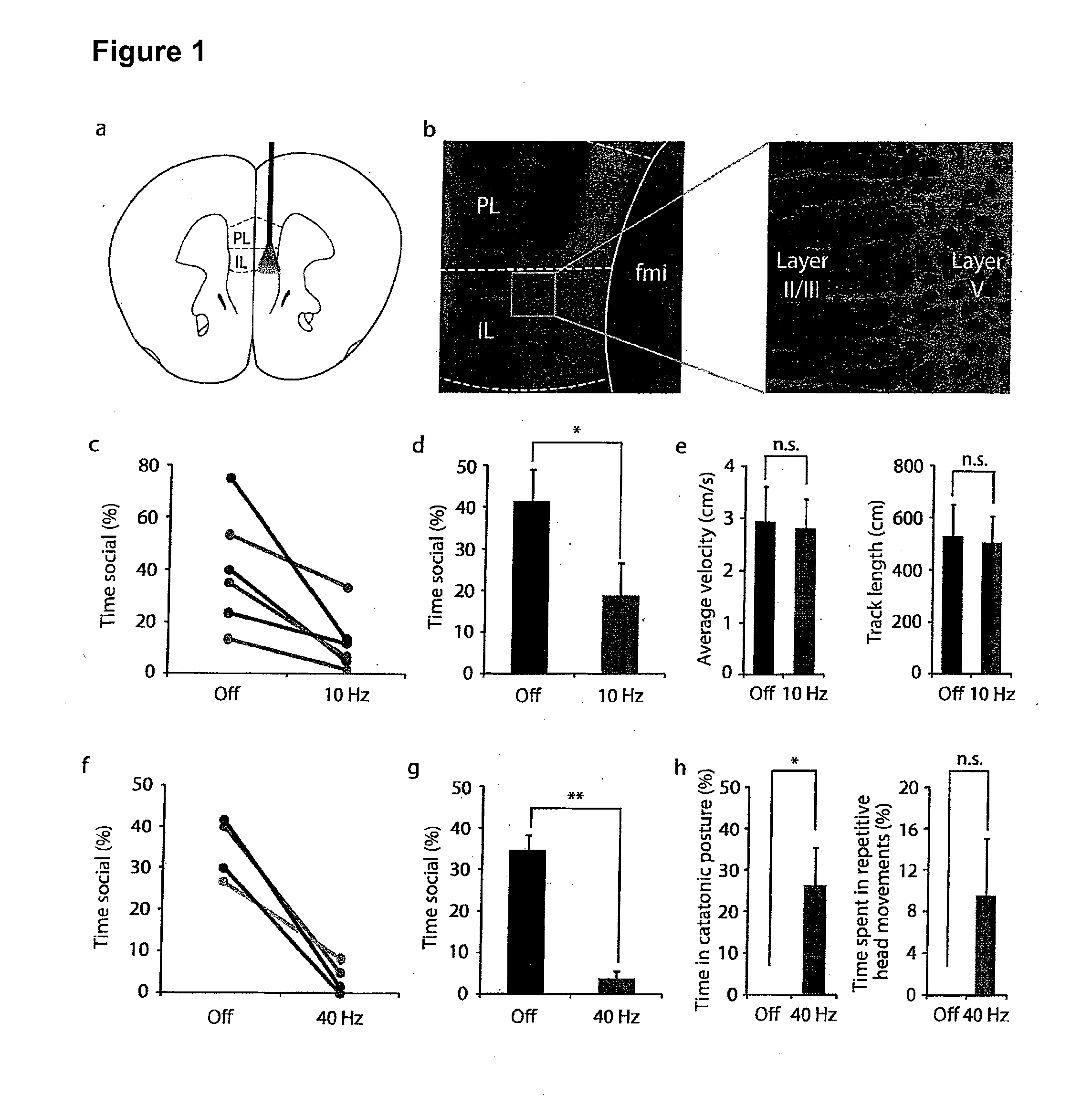 Control and Characterization of Psychotic States