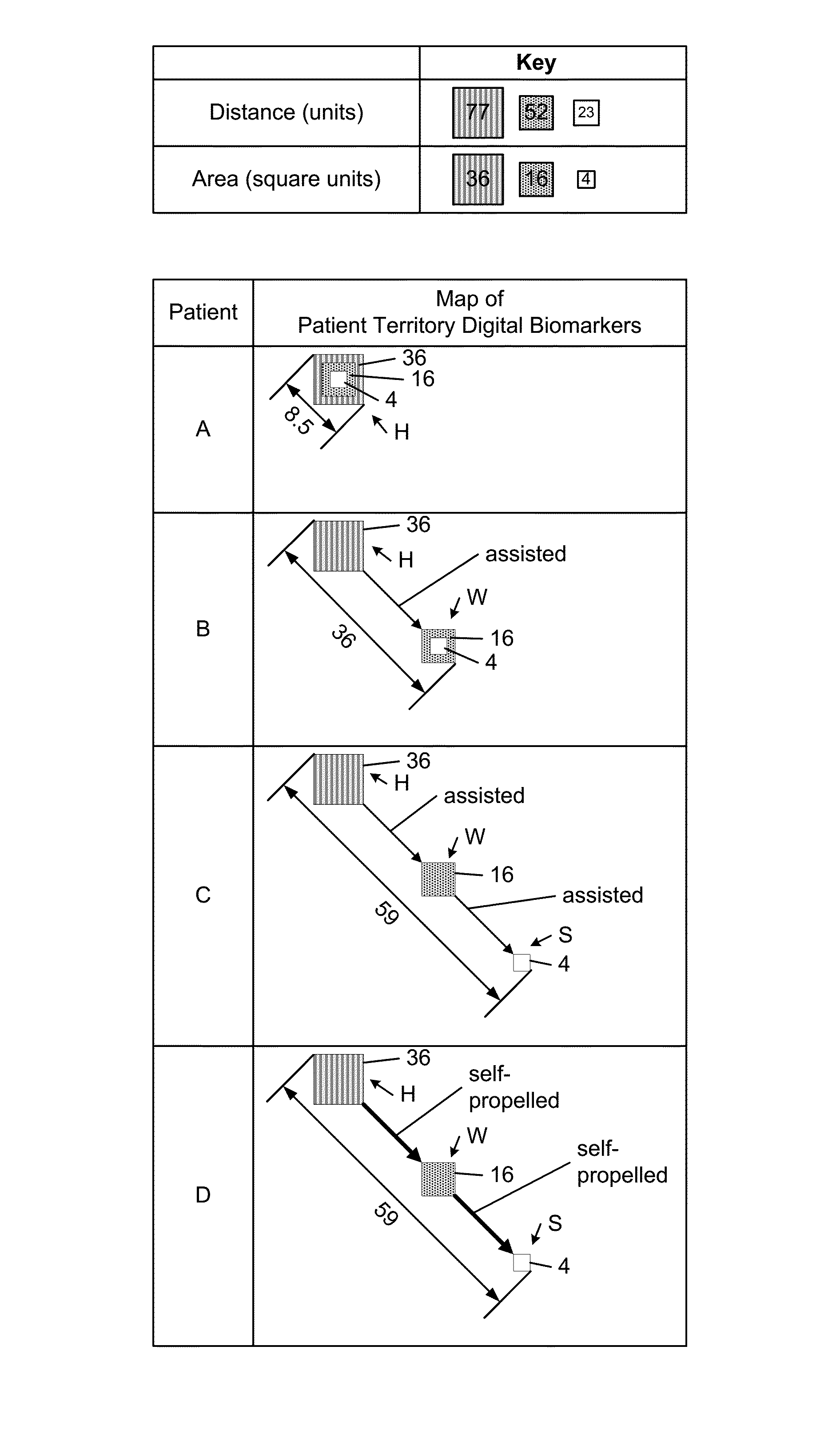 Mobile health device and method for determining patient territory as a digital biomarker while preserving patient privacy