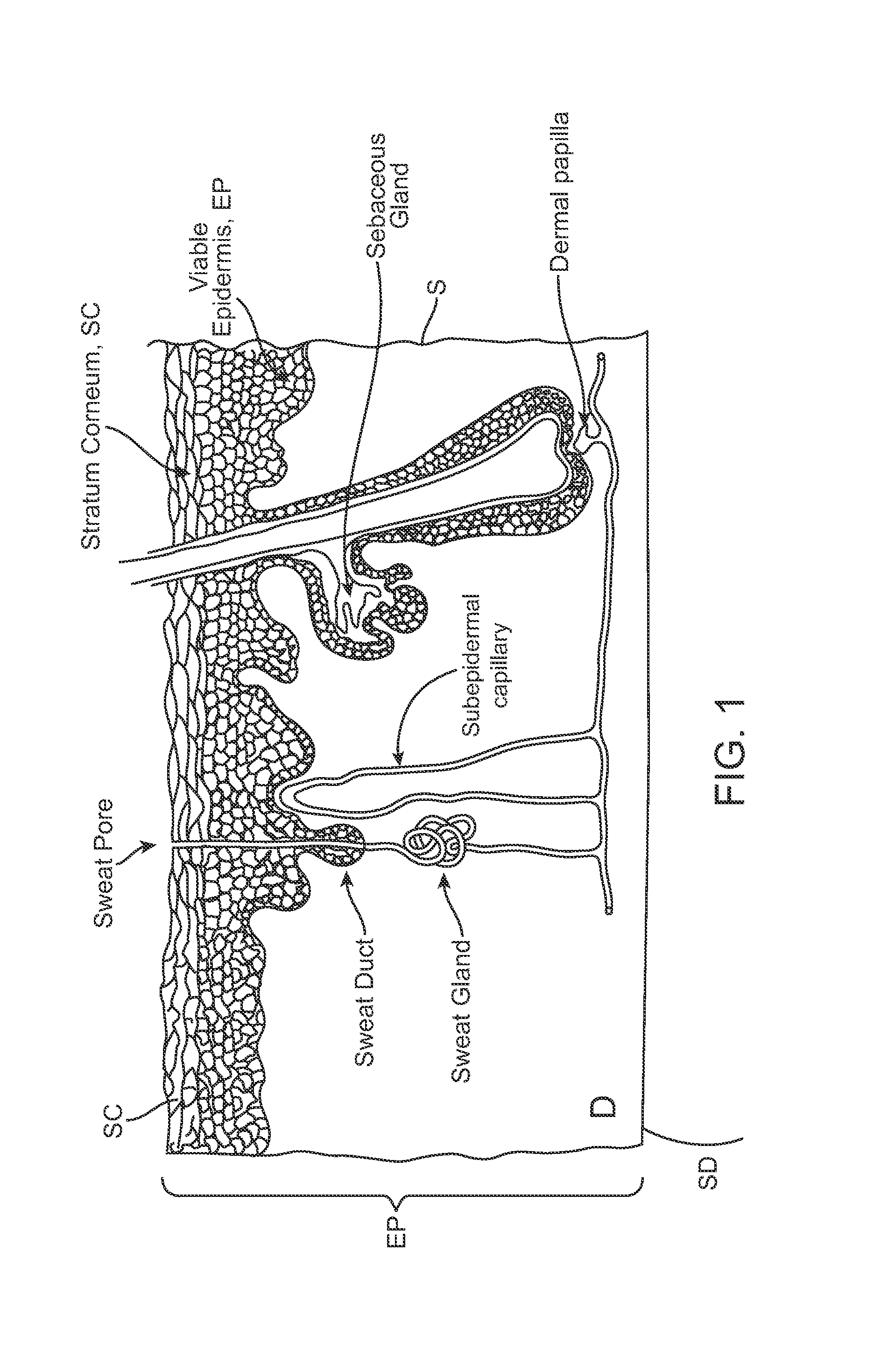 Iontophoretic apparatus and method for marking of the skin