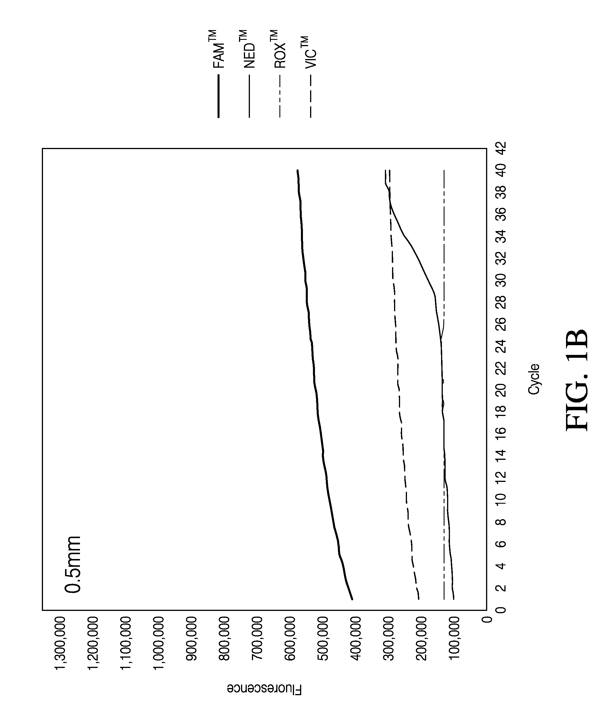 Direct quantitative PCR absent minor groove binders