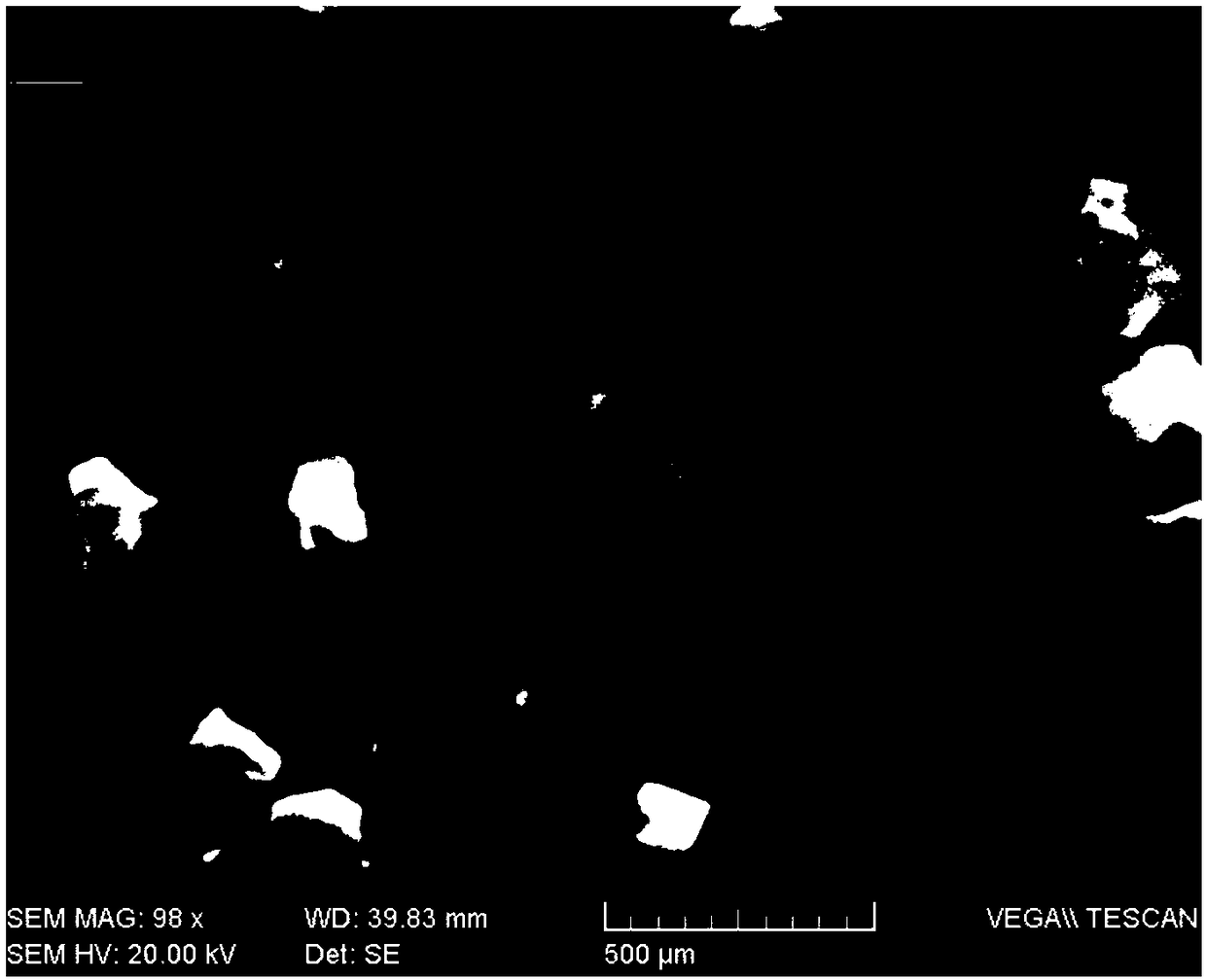 Extraction buffer solution and extraction method for extracting DNA from bones or teeth