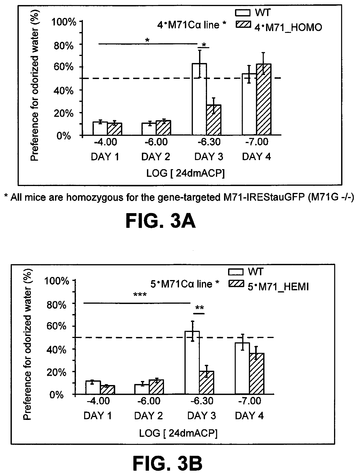 DNA sequence that increases odorant receptor representation in the olfactory system