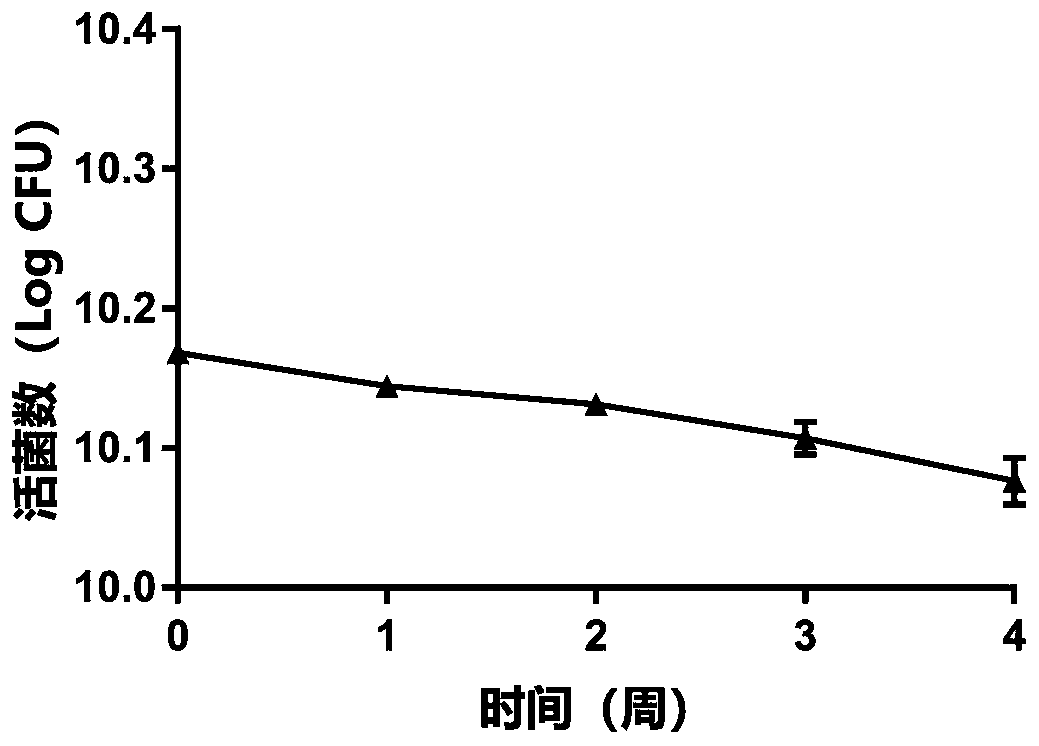 Lactobacillus helveticus capable of inhibiting helicobacter pylori and application of the lactobacillus helveticus