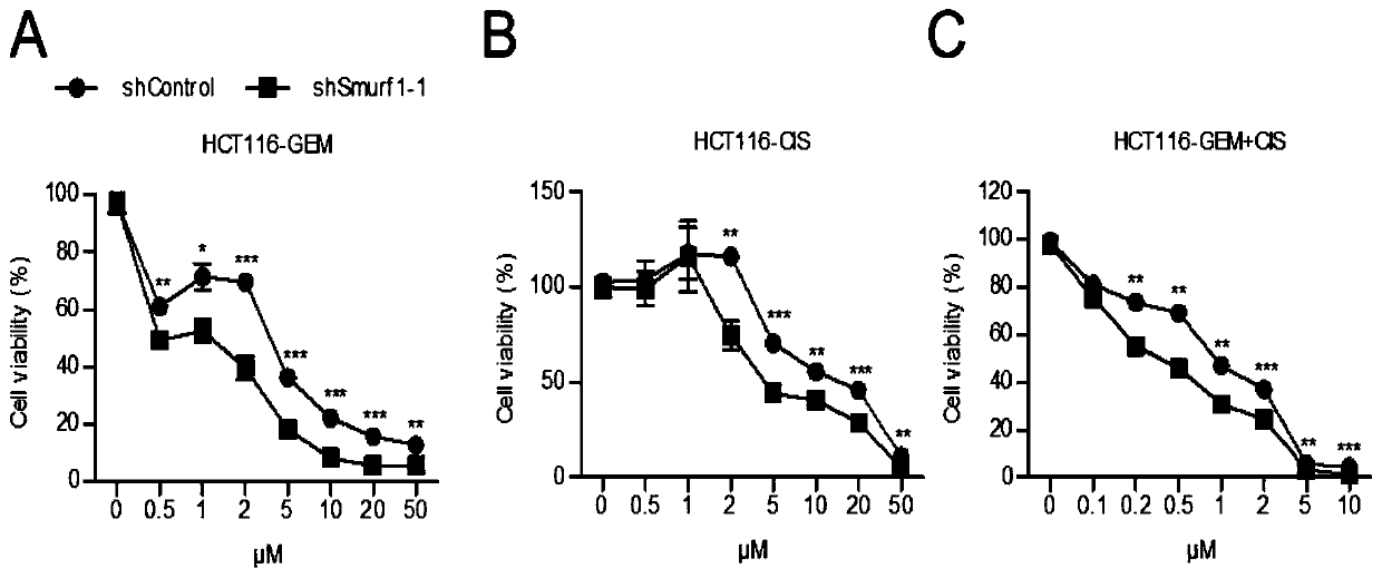 Application of Smurf1 gene, expression product and derivative or inhibitor thereof in chemotherapy of colorectal cancer