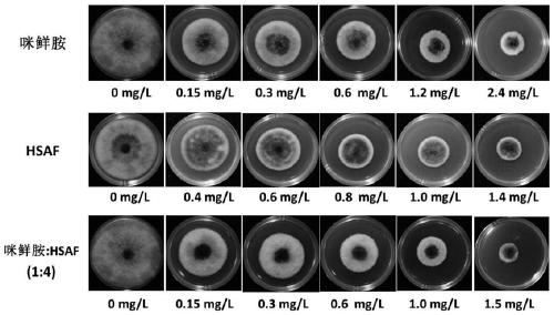 A kind of bactericidal composition containing prochloraz and biological antibacterial substance hsaf and its application