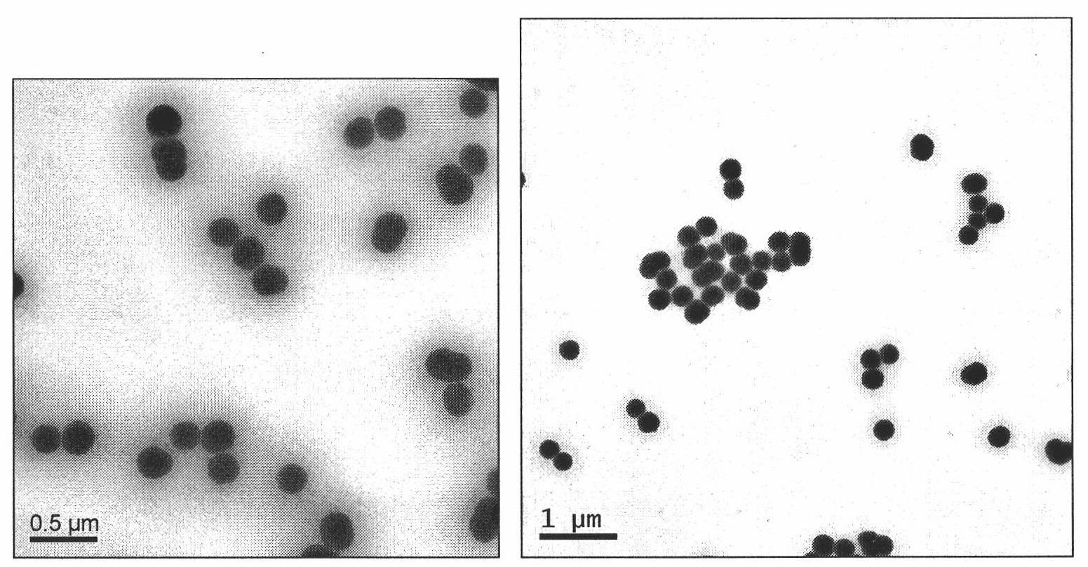 Chitosan-Math1 gene nanoparticle and application thereof in treatment of deafness