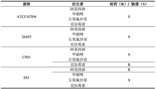 A traditional Chinese medicine composition for inhibiting Helicobacter pylori and preparation method thereof