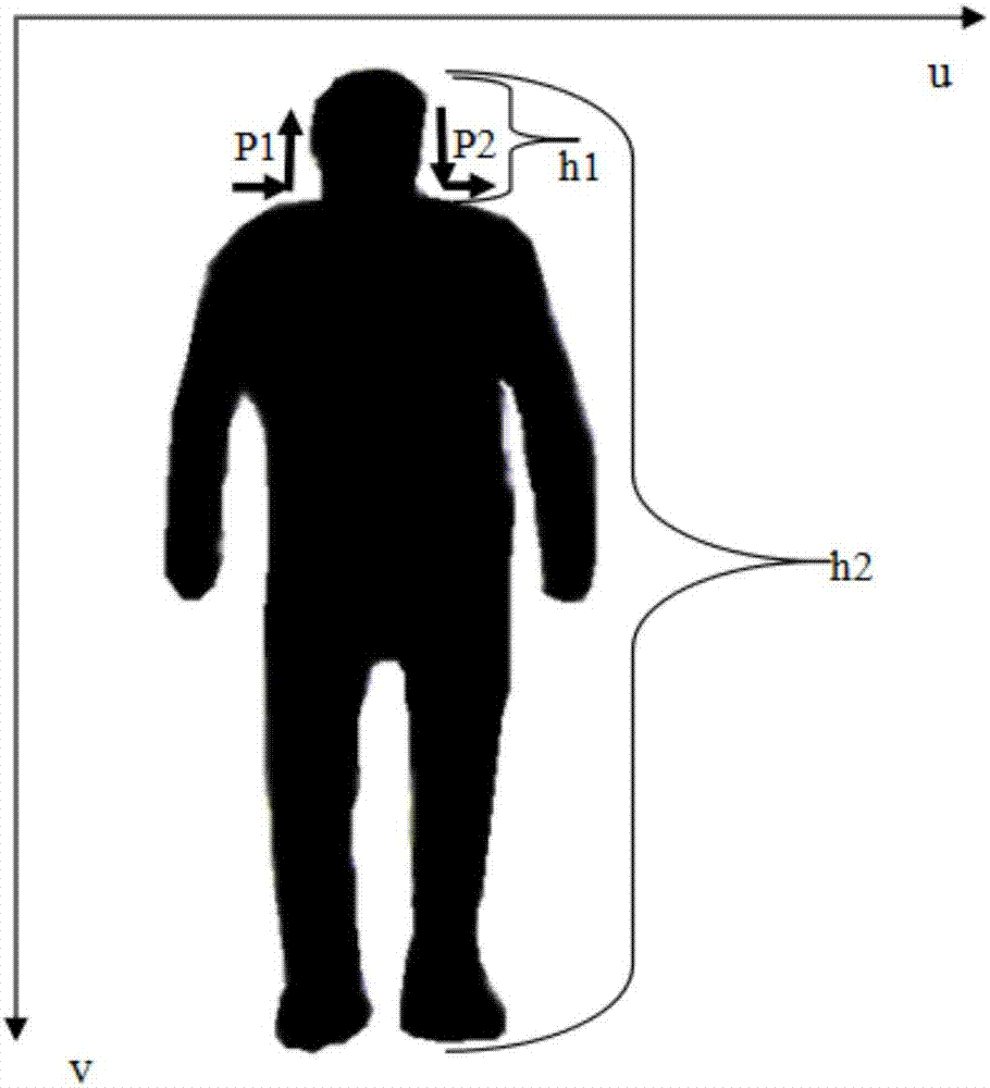 Human body height estimation method based on characteristic inflexions