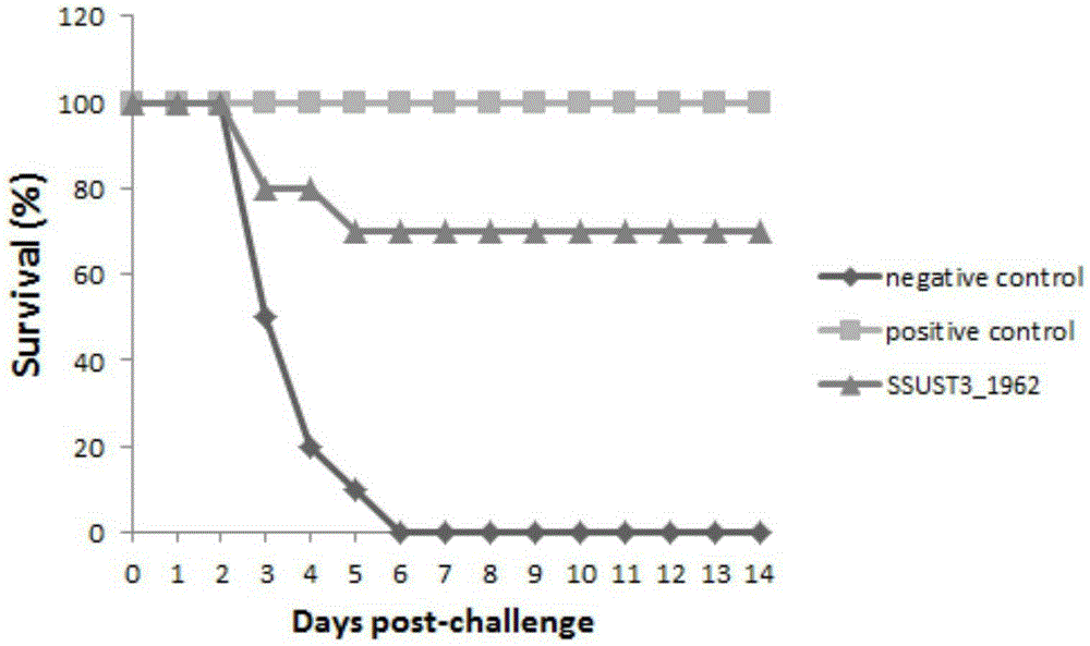 Adhesion antigen SSUST3_1962 of streptococcus suis serotype 3, and preparation method and application thereof