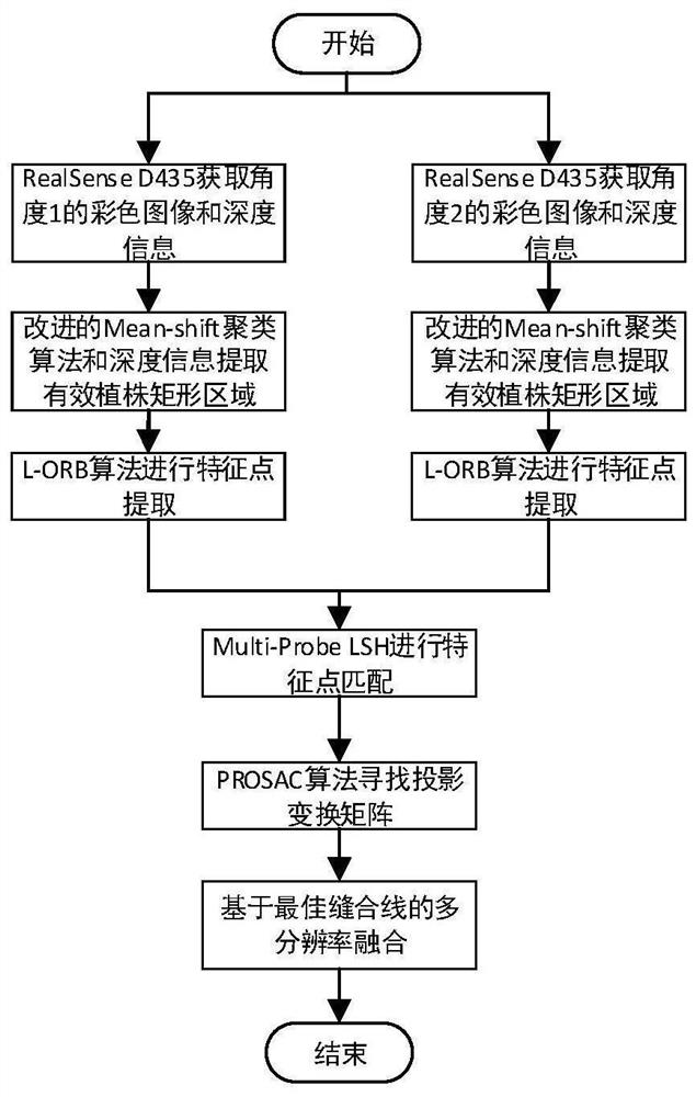 Plant image real-time splicing method based on L-ORB algorithm