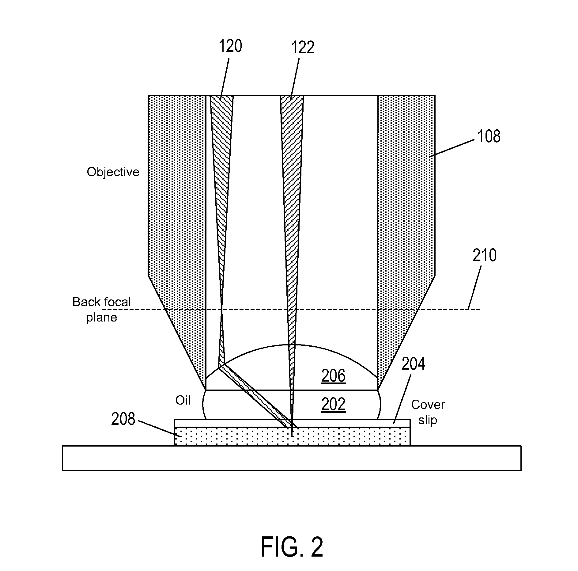 Systems for fluorescence illumination using superimposed polarization states