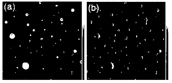 Preparation method and application of magnetic nano-gene vector for cultivating transgenic organism