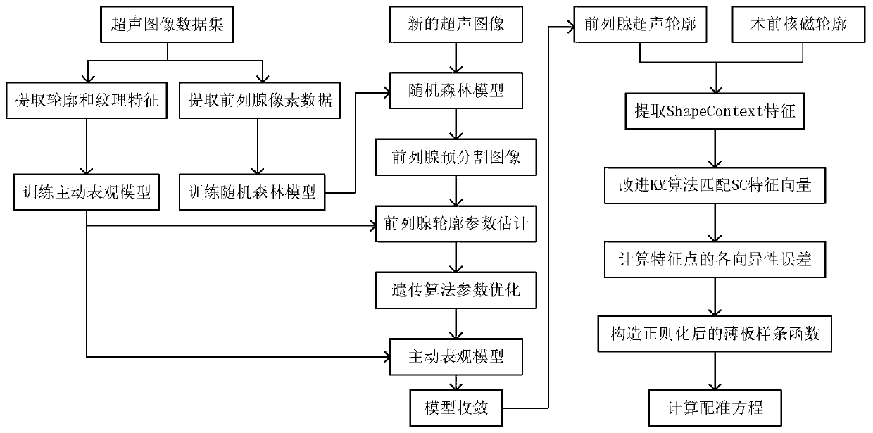 Prostate nuclear magnetism ultrasonic image registration fusion method