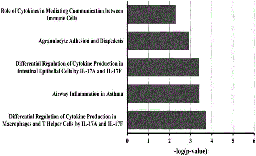 Application of interleukin 17 in resisting of infection of influenza virus