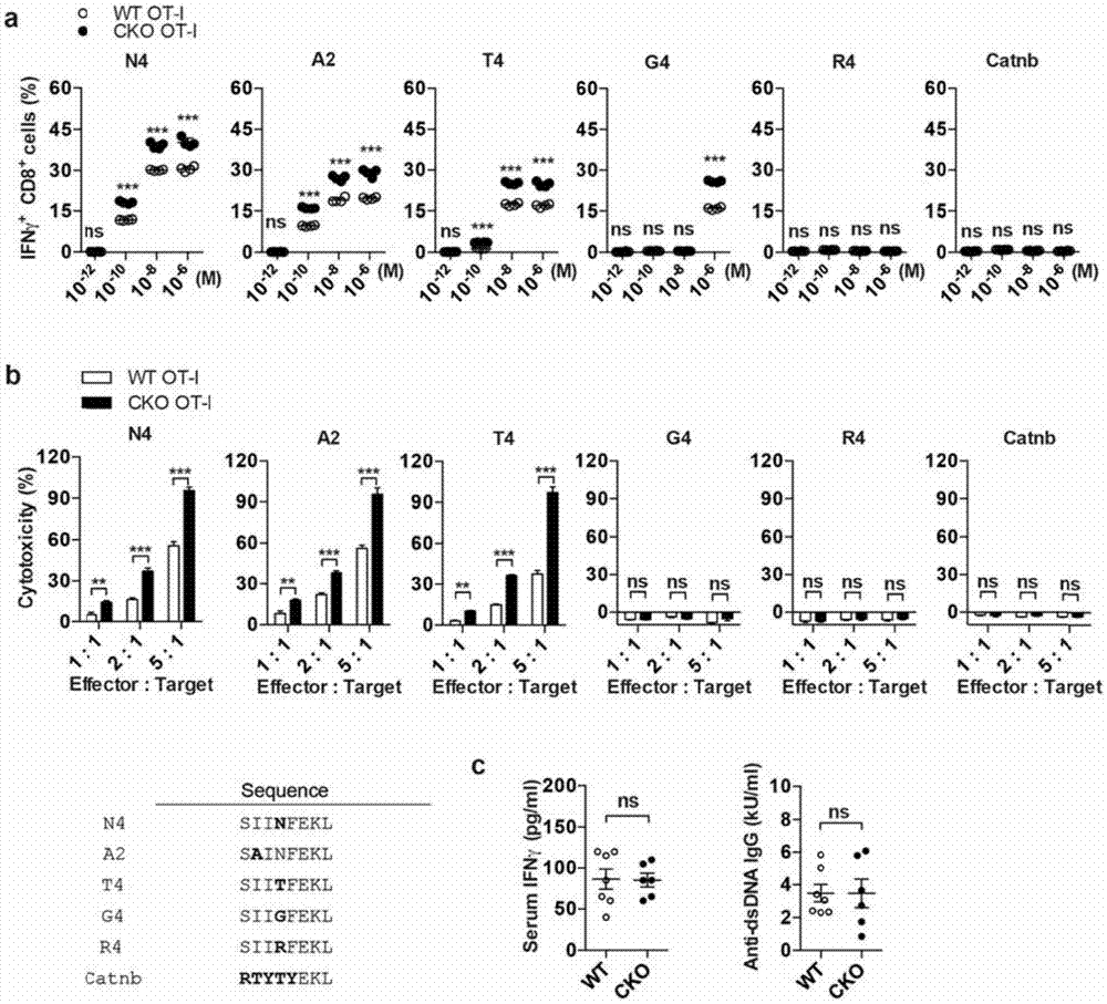 Combined medication combination for tumor therapy