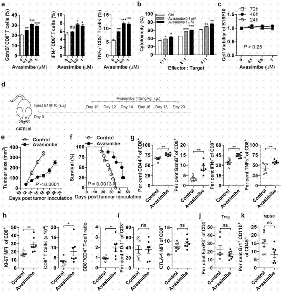 Combined medication combination for tumor therapy