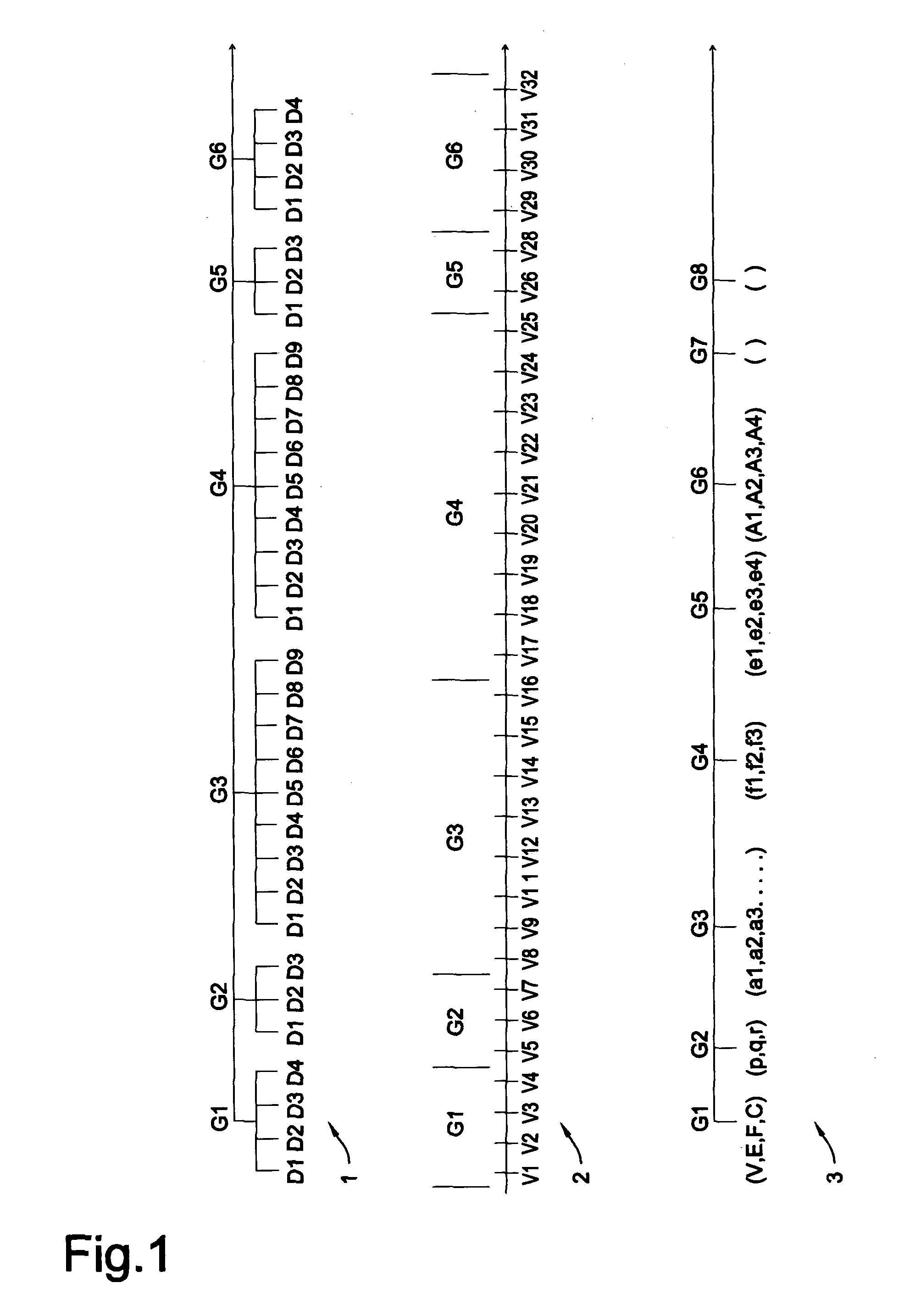 Morphological genome for design applications