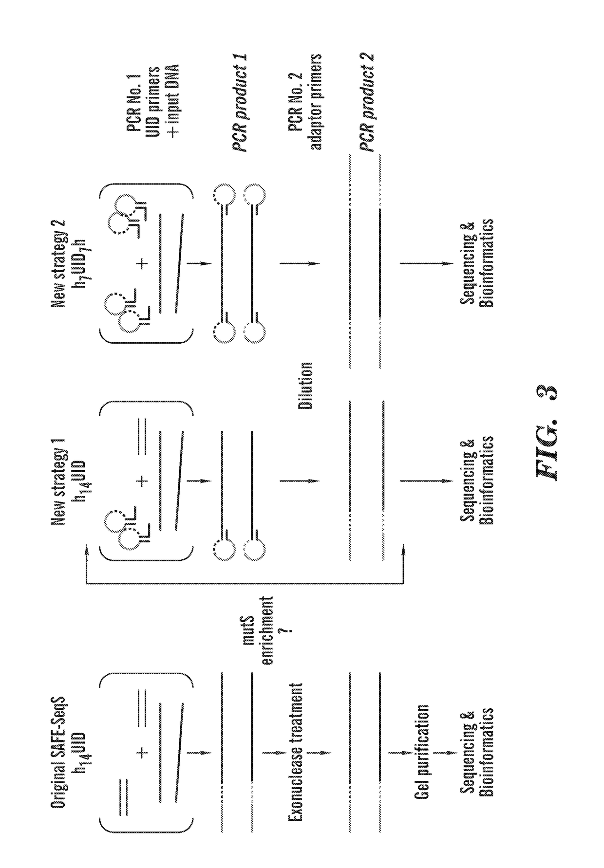 Protection of barcodes during DNA amplification using molecular hairpins