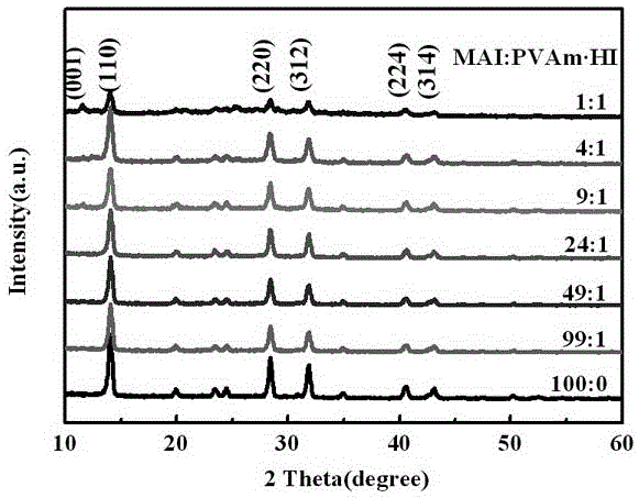 New application of polyvinylamine, perovskite thin film, perovskite solar cell and fabrication method of perovskite solar cell