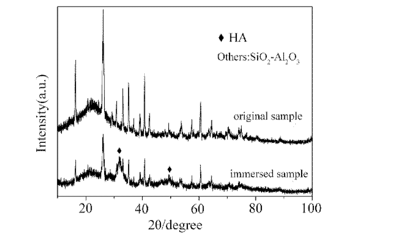 Hydroxyapatite hollow micro-carrier material and preparation method thereof