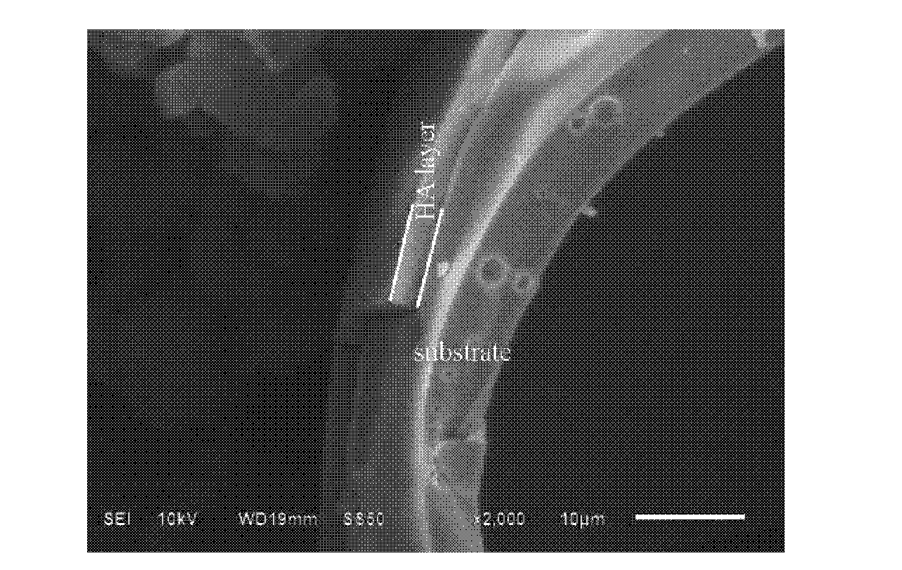 Hydroxyapatite hollow micro-carrier material and preparation method thereof