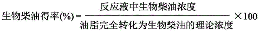 Carrier-free immobilized rhizopus oryzae lipase as well as preparation method thereof and application thereof in producing biodiesel