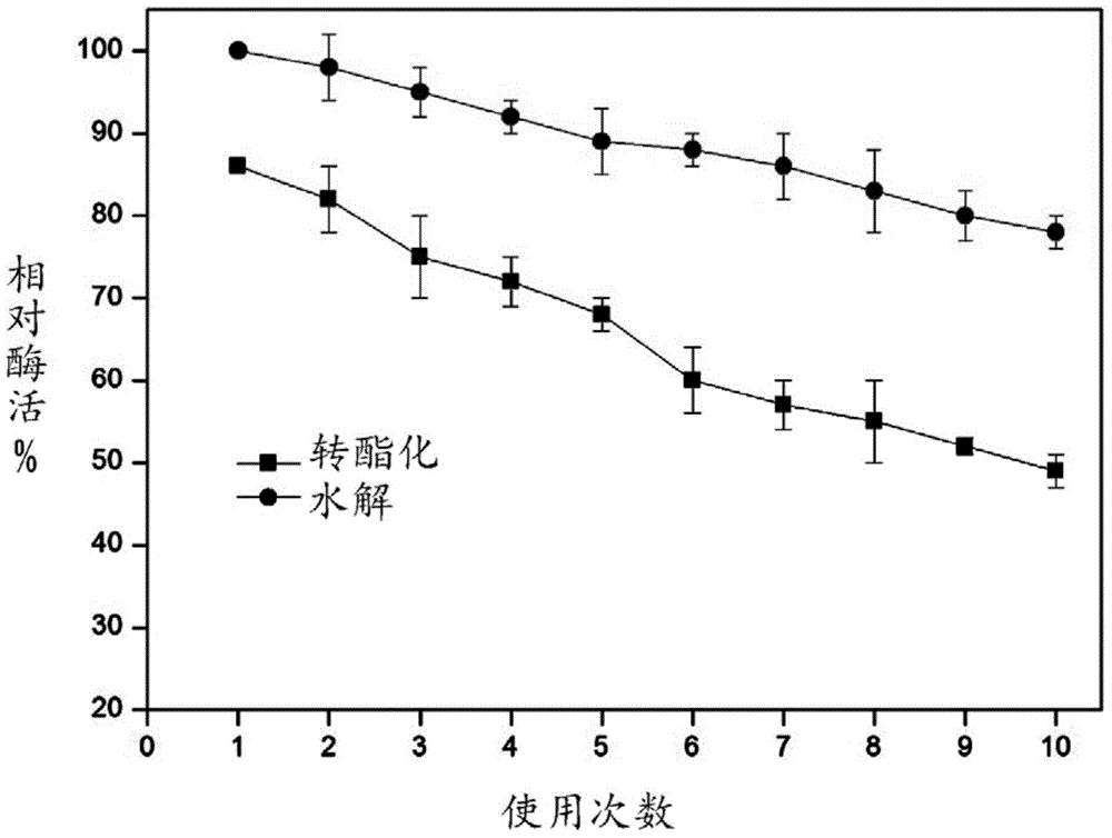 Carrier-free immobilized rhizopus oryzae lipase as well as preparation method thereof and application thereof in producing biodiesel